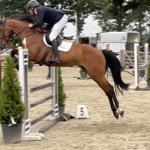 Jet V (CSI 3* - 1.40m)